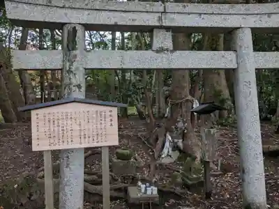 大穴持御子神社（出雲大社摂社）(島根県)