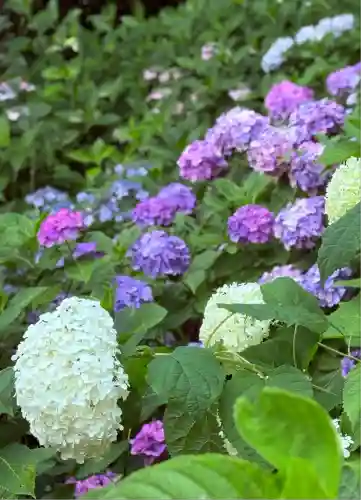 長谷寺(神奈川県)