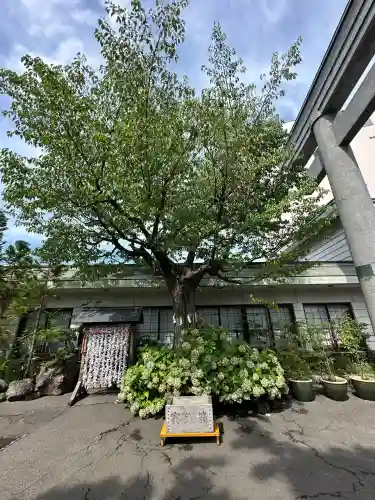 廣田神社(兵庫県)