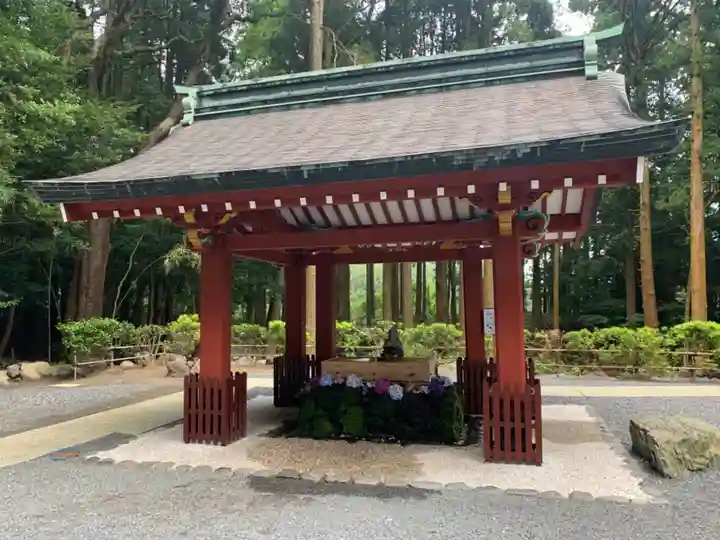 霧島神宮の手水舎