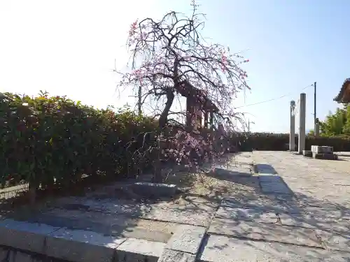 今津天満宮(山口県)