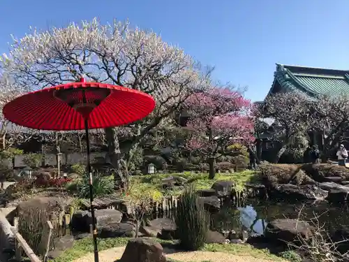 長谷寺の庭園