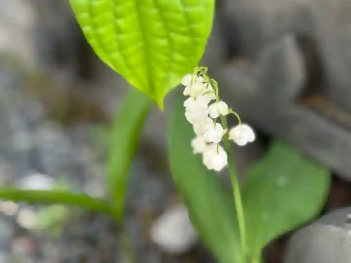 西方山極楽寺(岐阜県)