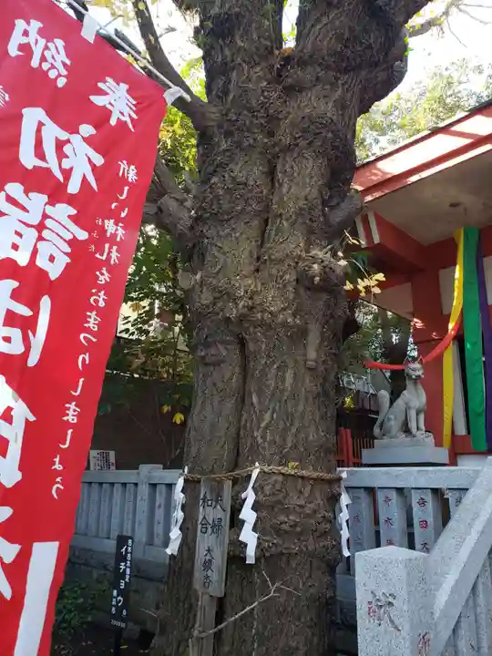 笠䅣稲荷神社の自然