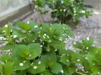 三津厳島神社(愛媛県)