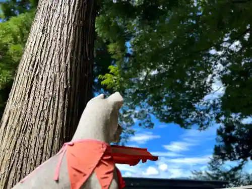 冨士山稲荷神社(長野県)