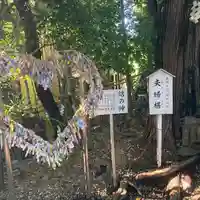 座間神社(神奈川県)