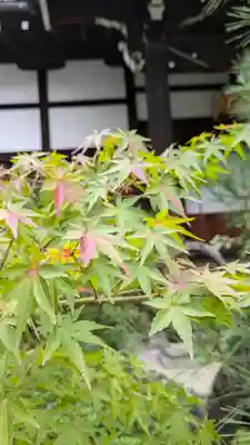 宝蔵寺(京都府)