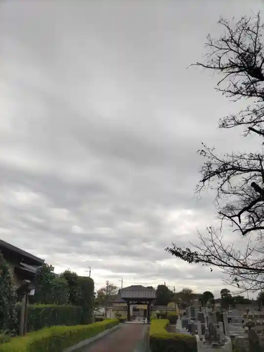 真光寺(千葉県)