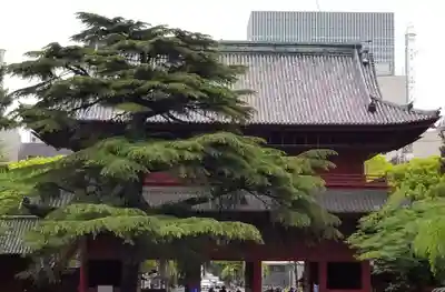 増上寺の山門・神門