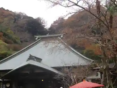 海蔵寺の本殿・本堂