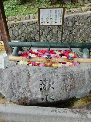 岡寺(龍蓋寺)(奈良県)