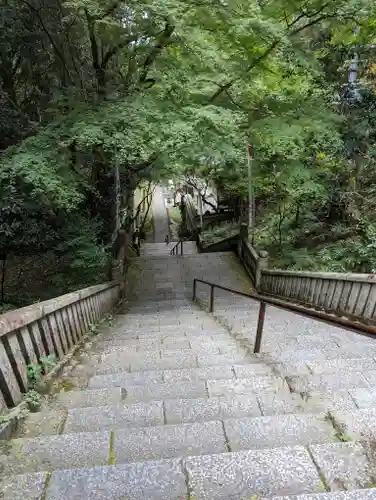 狸谷山不動院(京都府)