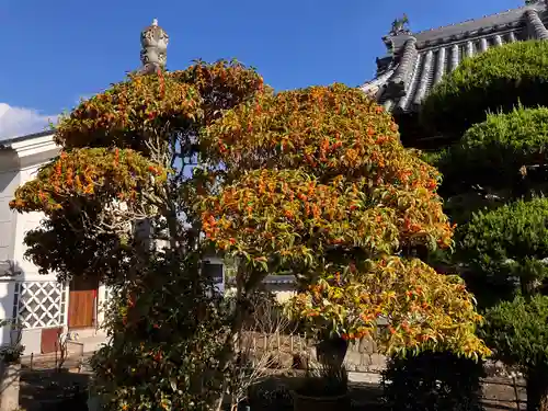 真言宗　善通寺派　薬王寺(香川県)