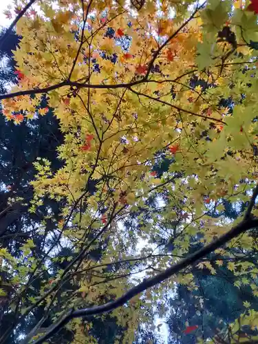 聖福寺(岩手県)