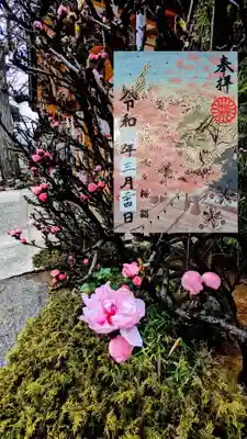 金箔押し特別御朱印 『桜詣龍』
