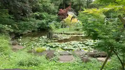 本土寺(千葉県)