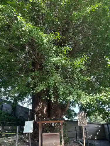 堤治神社(愛知県)