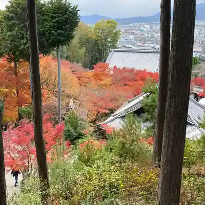 圓光寺(京都府)
