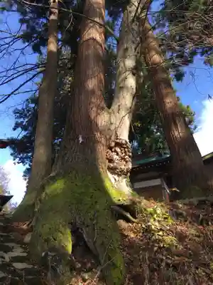 巣守神社の自然