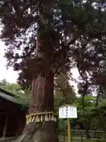 志波彦神社・鹽竈神社(宮城県)