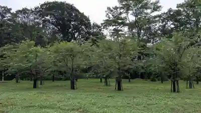 浄願寺跡の自然