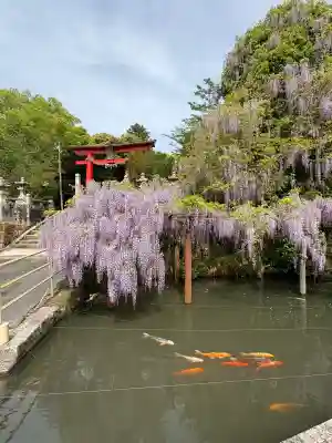 嘉川八幡宮の{uncategorized: "未分類", other: "その他", undefined: "問題あり", building: "その他建物", grave: "お墓", sacred_gate: "鳥居", guardian: "狛犬", statue: "像", buddha: "仏像", history: "歴史", nature: "自然", garden: "庭園", animal: "動物", pagoda: "塔", temizu: "手水舎", mountain_gate: "山門・神門", sanctuary: "本殿・本堂", subordinate: "末社・摂社", art: "芸術", scenery: "景色", jizo: "地蔵", ema: "絵馬", goshuin: "御朱印", omikuji: "おみくじ", items: "授与品その他", amulet: "お守り", goshuincho: "御朱印帳", eats: "食事", festival: "お祭り", votive_dance: "神楽", shichigosan: "七五三参", wedding: "結婚式", experience: "体験その他", initially: "初詣", around: "周辺", anti_infection: "感染症対策"}