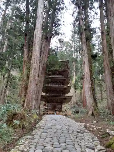羽黒山五重塔(出羽三山神社)(山形県)