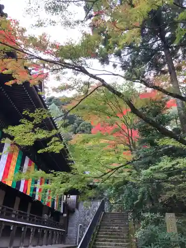 禅林寺（永観堂）の自然