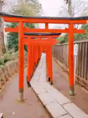 根津神社の鳥居