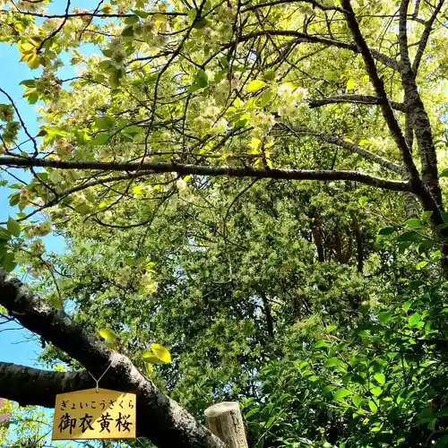 二川伏見稲荷の自然