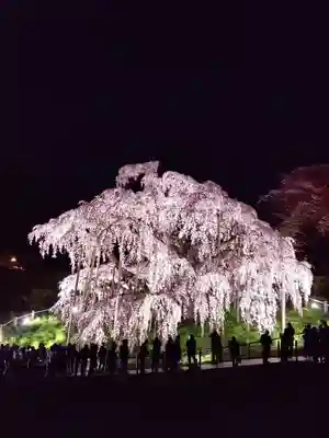 瀧桜神明宮(福島県)