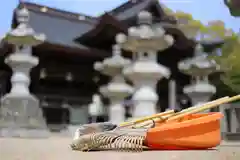 白鳥神社の体験その他