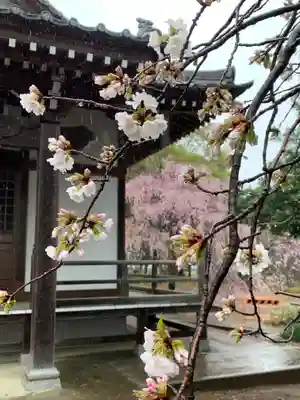 満願寺(埼玉県)