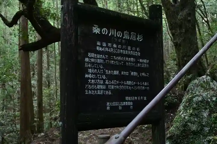 地主神社(桑の川の鳥居杉)(高知県)