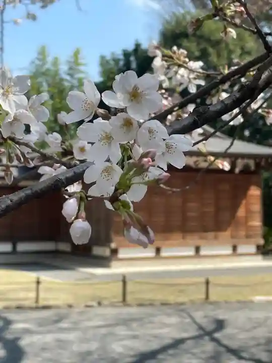 阿佐ヶ谷神明宮の自然
