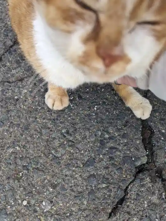 早池峯神社(岩手県)