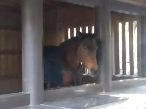 伊勢神宮内宮（皇大神宮）(三重県)
