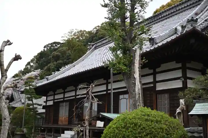 鉄舟寺の本殿・本堂