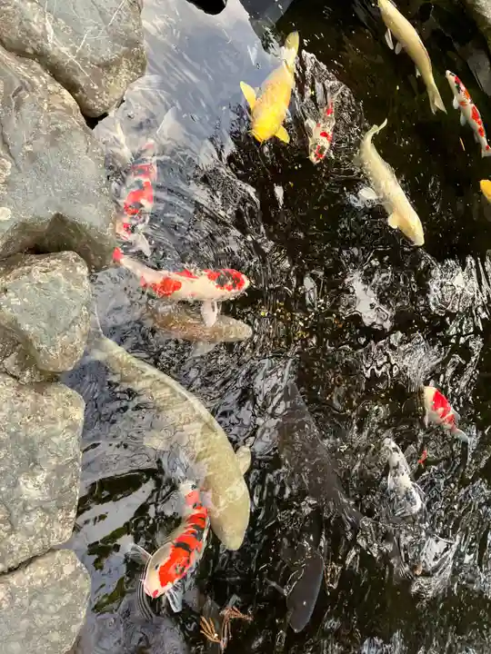 伊勢神宮内宮(皇大神宮)(三重県)