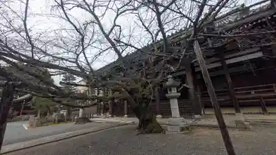本法寺(京都府)
