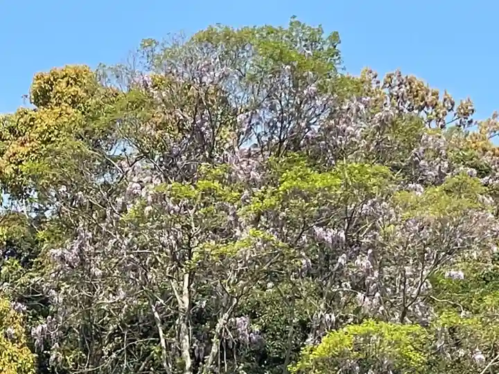 伊勢の国 四天王寺(三重県)