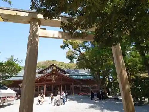 猿田彦神社の鳥居