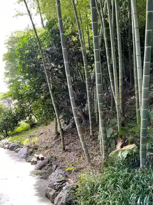 浄妙寺(神奈川県)