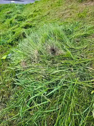 美幌神社の周辺