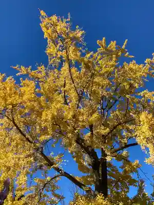 三囲神社(東京都)