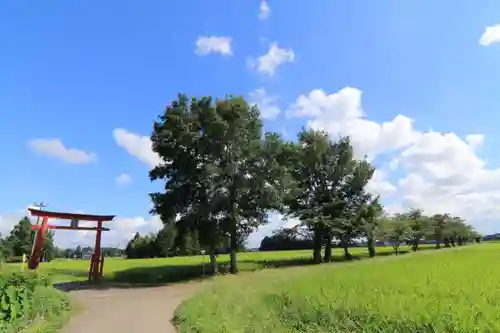 三光稲荷神社の鳥居