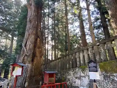 日光東照宮奥宮拝殿(栃木県)
