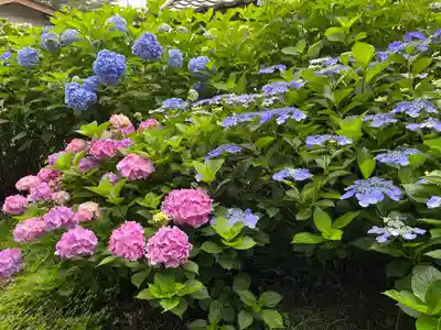 赤城神社の自然