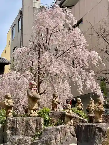 頂法寺（六角堂）の自然